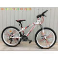 Jiebao Model Mountain Bicycle MTB Mountain Bike